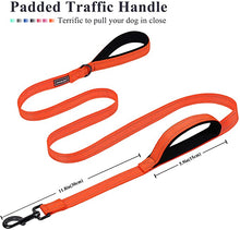 Load image into Gallery viewer, VIVAGLORY Dog Leash Traffic Padded Two Handles, Heavy Duty Reflective Leashes for Control Safety Training, Walking Lead for Small to Large Dogs
