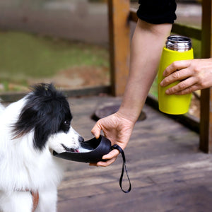 Vivaglory 25oz Stainless Steel Dog Bottle OR with Neoprene Bottle Carrier Combo, Portable & Leakproof Dog Travel Water Bottle Great for Walking & Hiking with Dogs