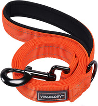 Load image into Gallery viewer, VIVAGLORY Dog Leash with Padded Handle, Heavy Duty Reflective Nylon Training Leash Walking Lead for Small to Large Dogs