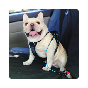 Large dog seat belt cheap