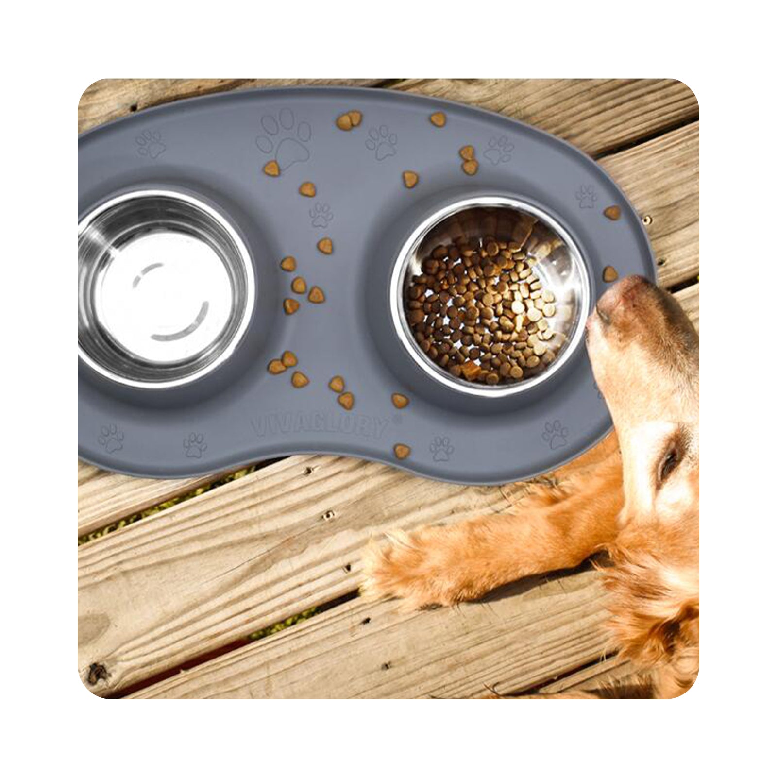 Elevated Dog Bowl with Double Stainless Steel Bowl and Waterproof