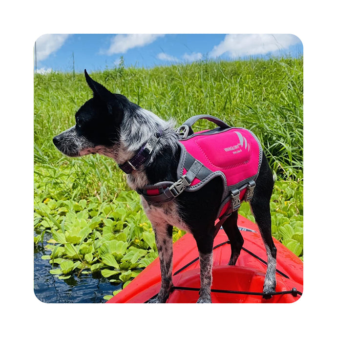 VIVAGLORY Neoprene Dog Life Jacket Reflective & Adjustable Life Vest with Superior Buoyancy and Rescue Handle for Swimming & Boating