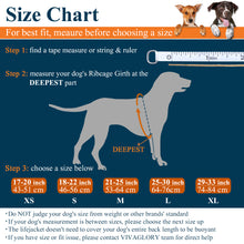 Load image into Gallery viewer, Vivaglory New Neoprene Sports Style Dog Life Jackets, Snug &amp; Safer Dog Life Vest with Superior Buoyancy &amp; Rescue Handle