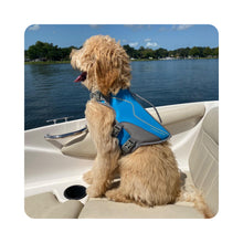 Load image into Gallery viewer, Vivaglory New Neoprene Sports Style Dog Life Jackets, Snug &amp; Safer Dog Life Vest with Superior Buoyancy &amp; Rescue Handle