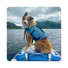 Load image into Gallery viewer, Vivaglory Dog Life Jackets with Extra Padding Pet Safety Vest for Dogs Lifesaver Preserver