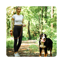 Load image into Gallery viewer, Vivaglory Chew Proof Dog Leash with Soft Foam and Reflective Padded Handle, Waterproof Vinyl Coated Twisted Stainless Steel Wire Rope Lead for Small Medium and Large Dogs