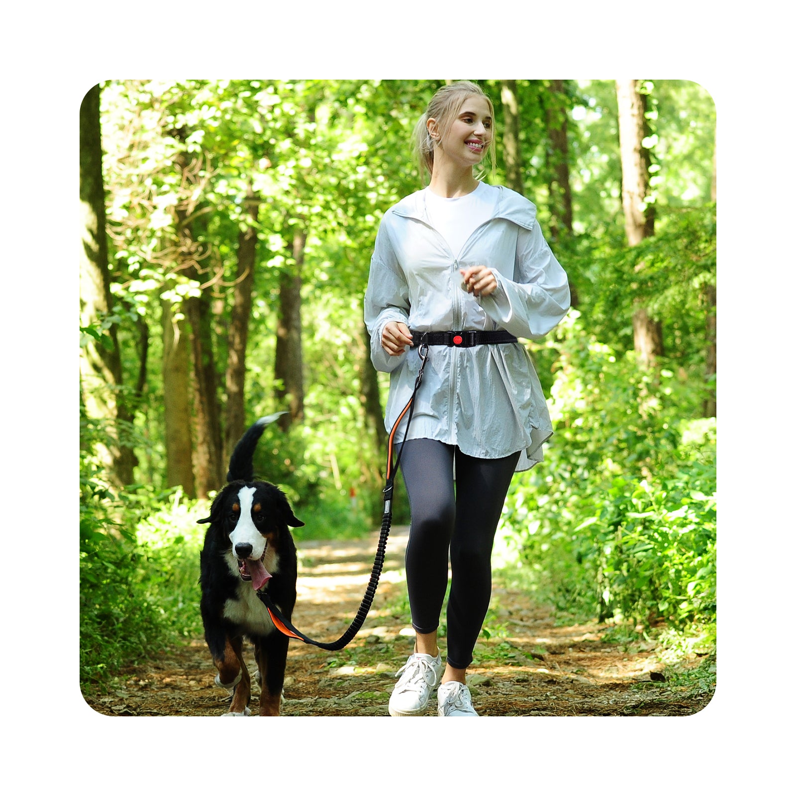 VIVAGLORY Hands Free Dog Leash with Dual Advanced Anti Shock Bungees a