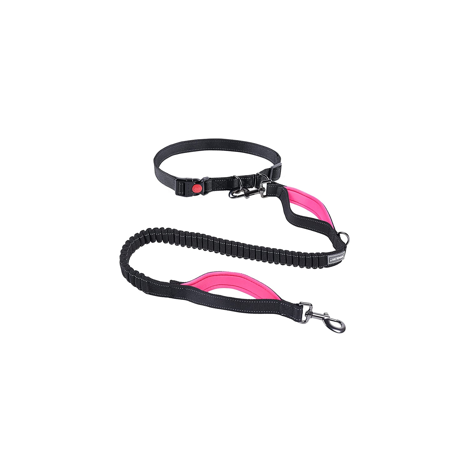 Anti shock dog online leash