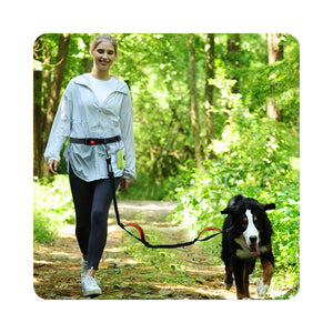 VIVAGLORY New Hands Free Dog Leash with Dual Wavelength Bungees for Me