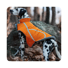 Load image into Gallery viewer, VIVAGLORY new Cold Weather Dogs Coat, Reflective Warm Fleece Lined Winter Puppy Jacket Cloth, Windproof Water Resistant Comfortable Cozy Pet Apparel