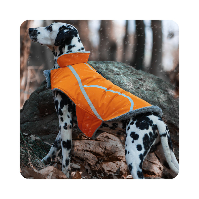 VIVAGLORY new Cold Weather Dogs Coat, Reflective Warm Fleece Lined Winter Puppy Jacket Cloth, Windproof Water Resistant Comfortable Cozy Pet Apparel